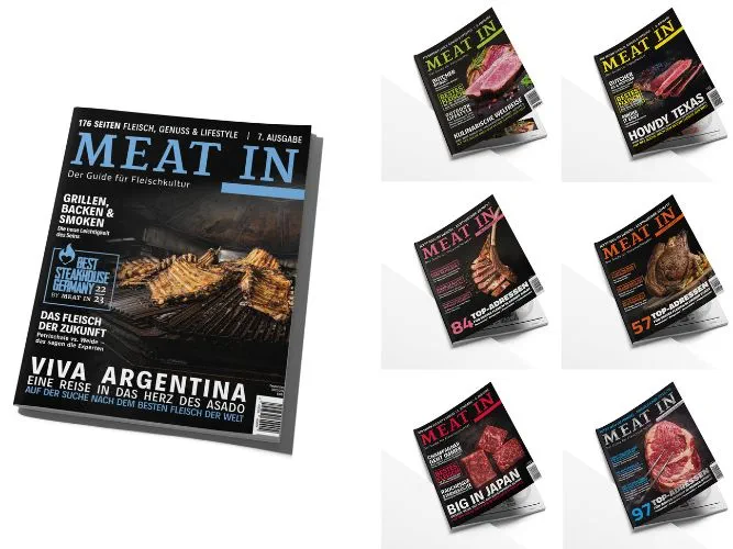 Verschiedene Cover der Meat In: Links die große, rechts sechs kleine Cover